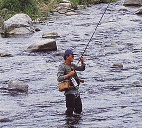 吉和川の渓流釣り