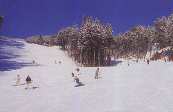 めがひらスキー場